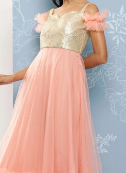 Teen Girls Silver Embroidered N Pink Corset Style Gown Party Wear